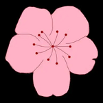 桃花视频最新版